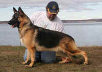 khaos11mo.jpg (65310 bytes)
